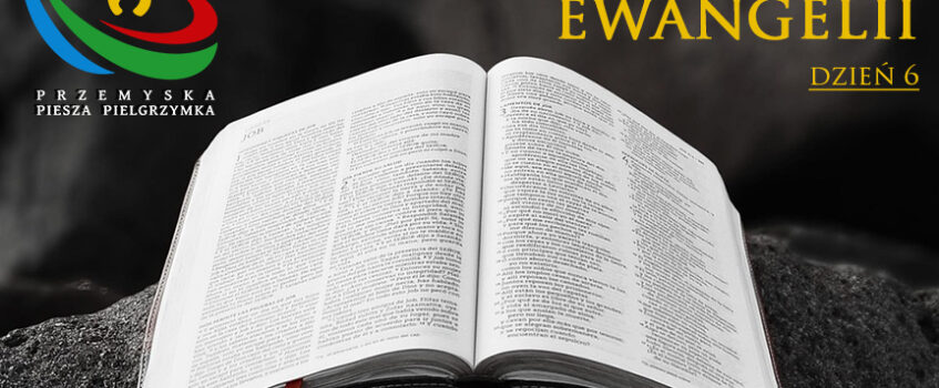 Apostolstwo w Kościele (Mt 10, 1-7) – ks. dr Maciej Dżugan